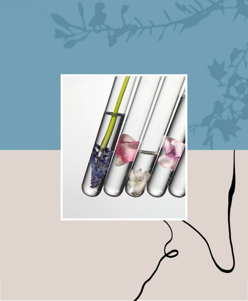 Sustainable cosmetic companies