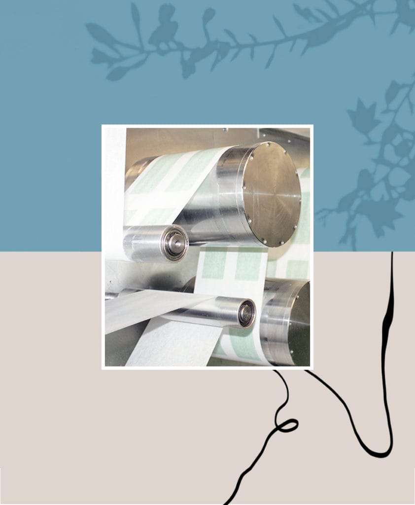 Sustainable cosmetic companies