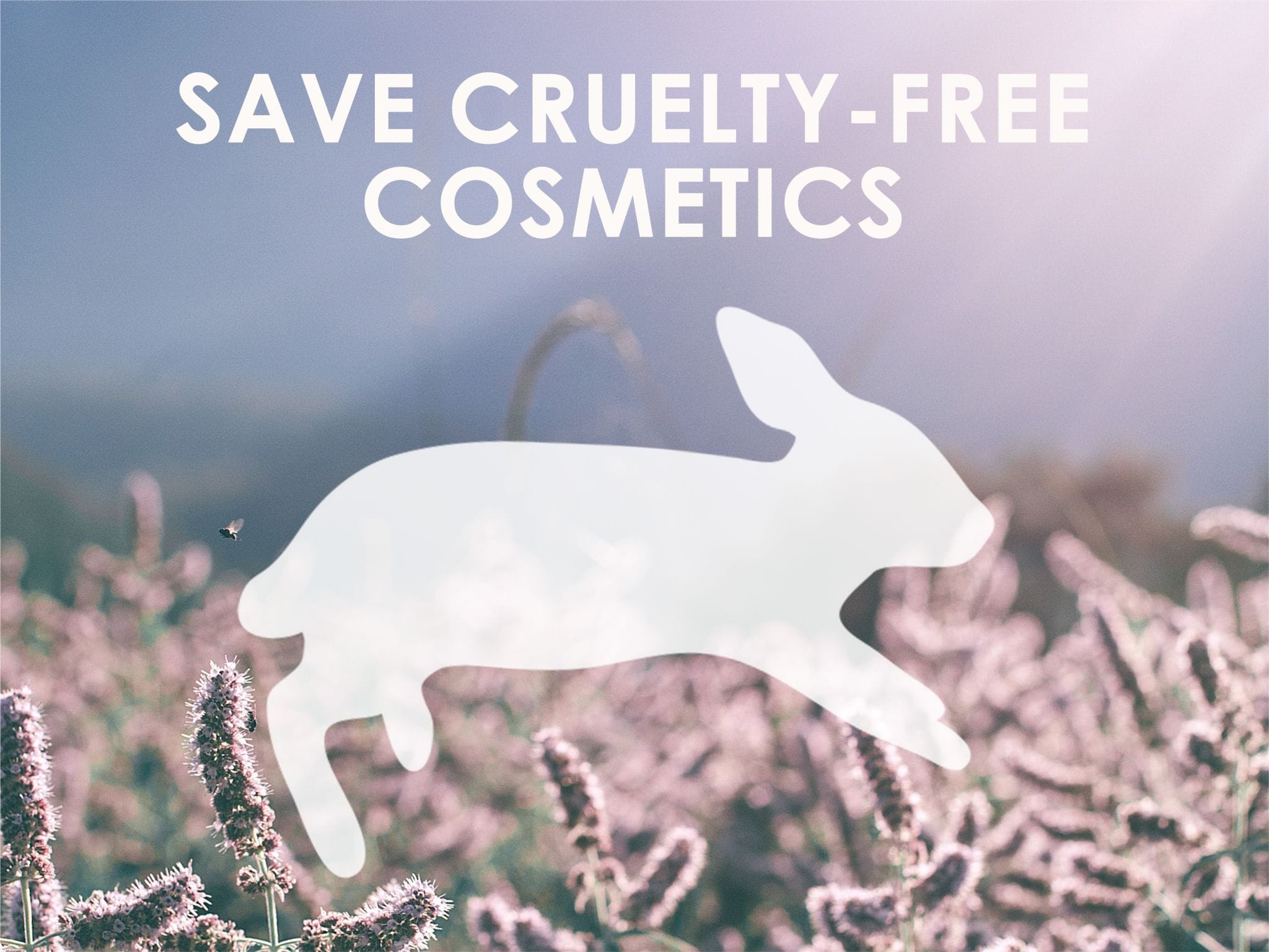 Cruelty Free legislation